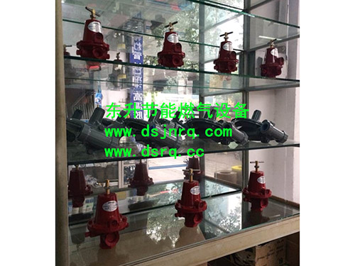 国产精品麻豆视频免费看麻豆视频传媒入口色天堂炉  燃气减压阀
